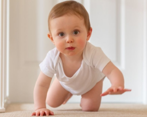 Hypoallergenic Carpet Cleaning, Baby Crawling on Carpet