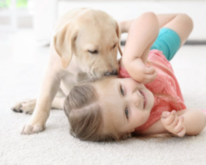 Hypoallergenic Carpet Cleaning, Baby Crawling on Carpet