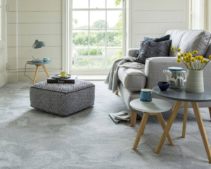 Modern home with clean carpet