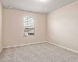 Modern home with clean carpet